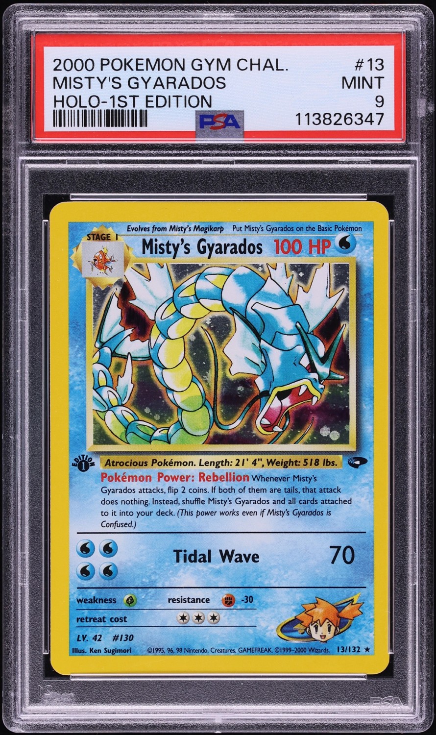 Misty's Gyarados