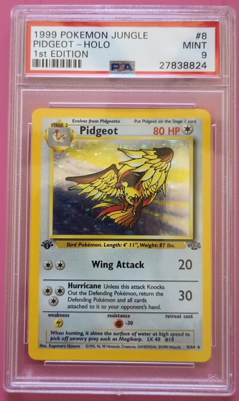 PIDGEOT