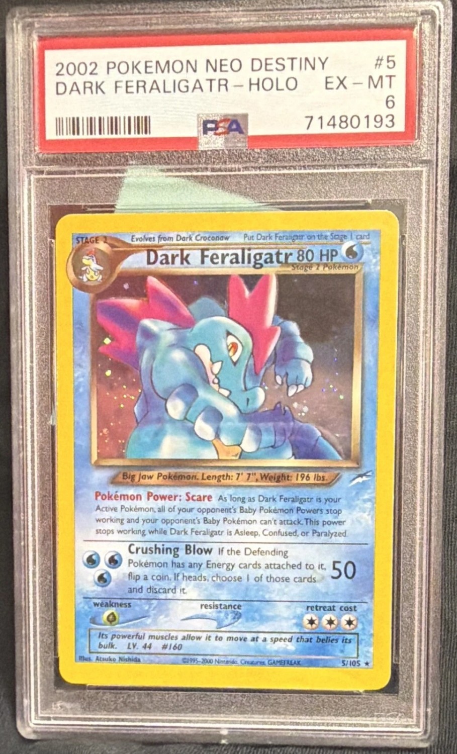 Dark Feraligatr