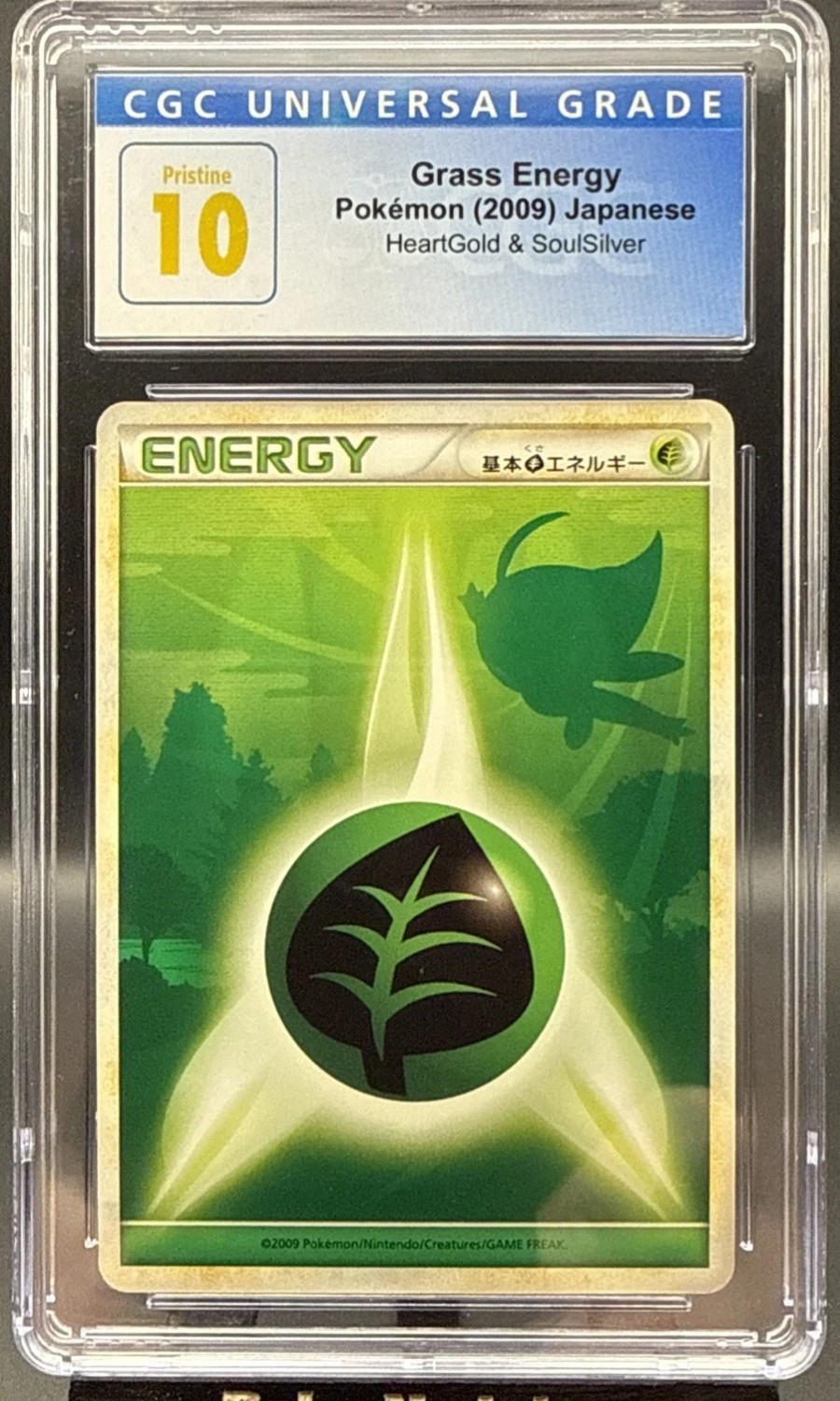 Grass Energy