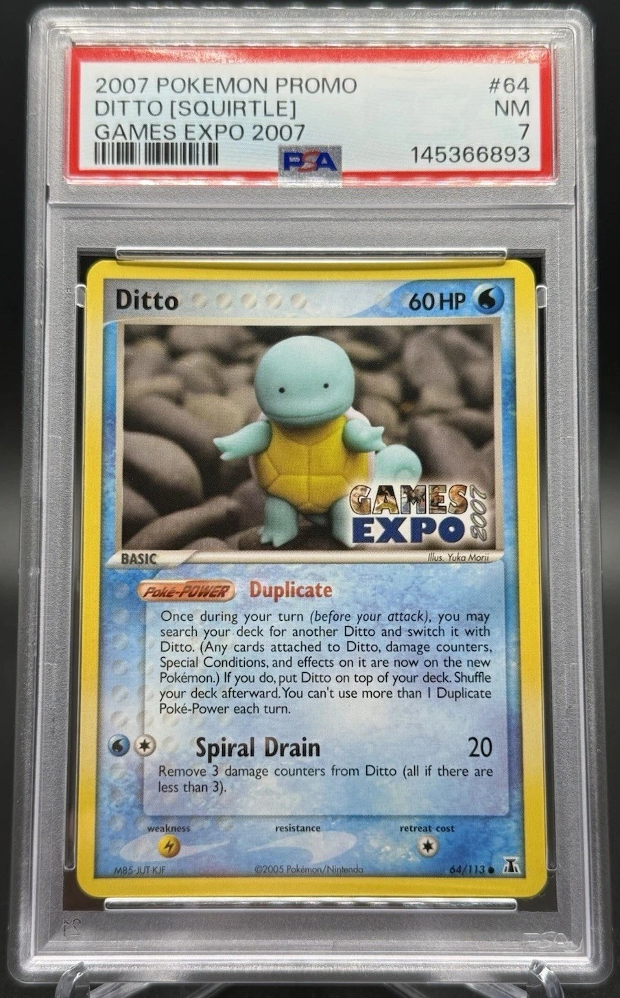 Ditto [Squirtle]