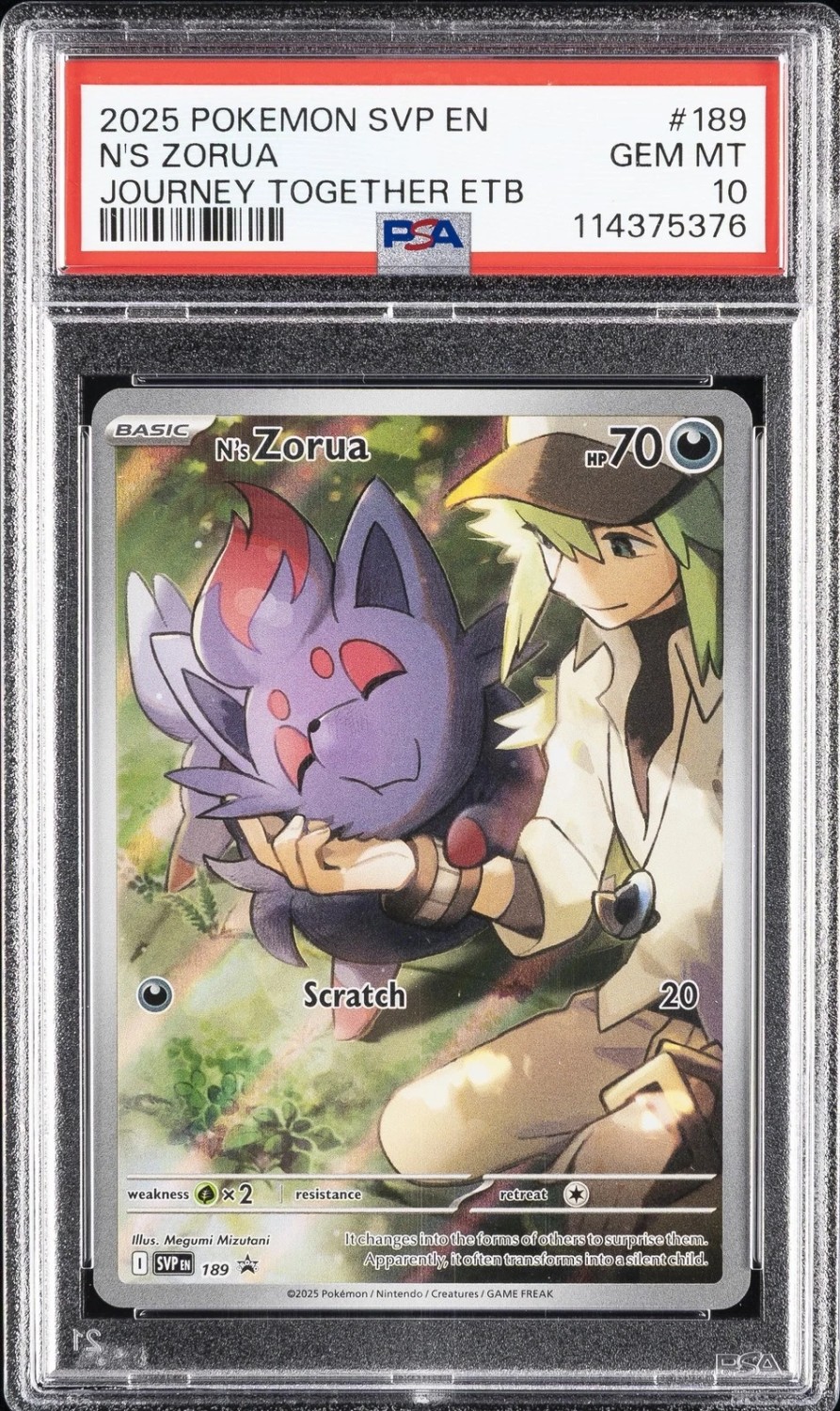 N'S ZORUA