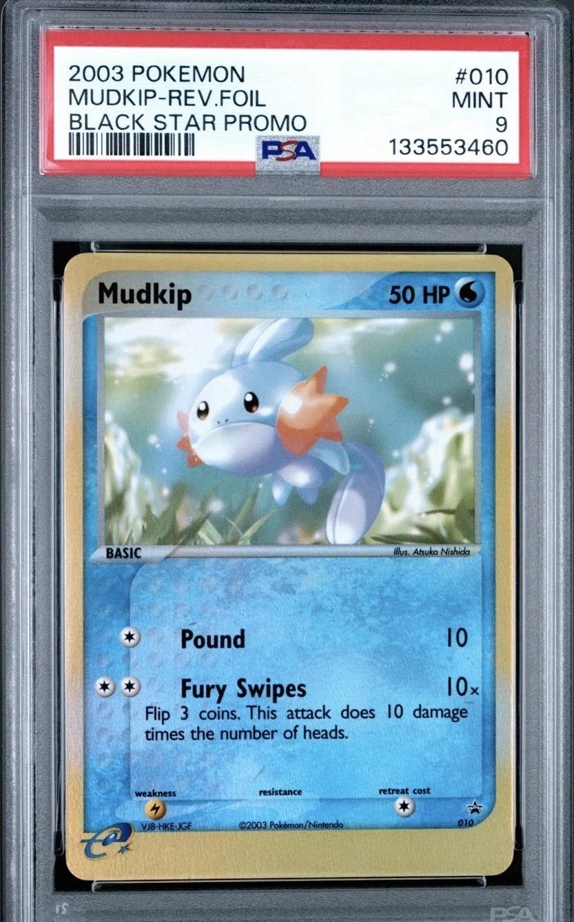 Mudkip