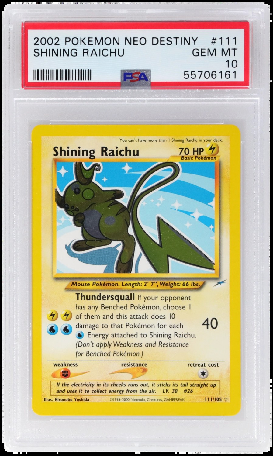 Shining Raichu