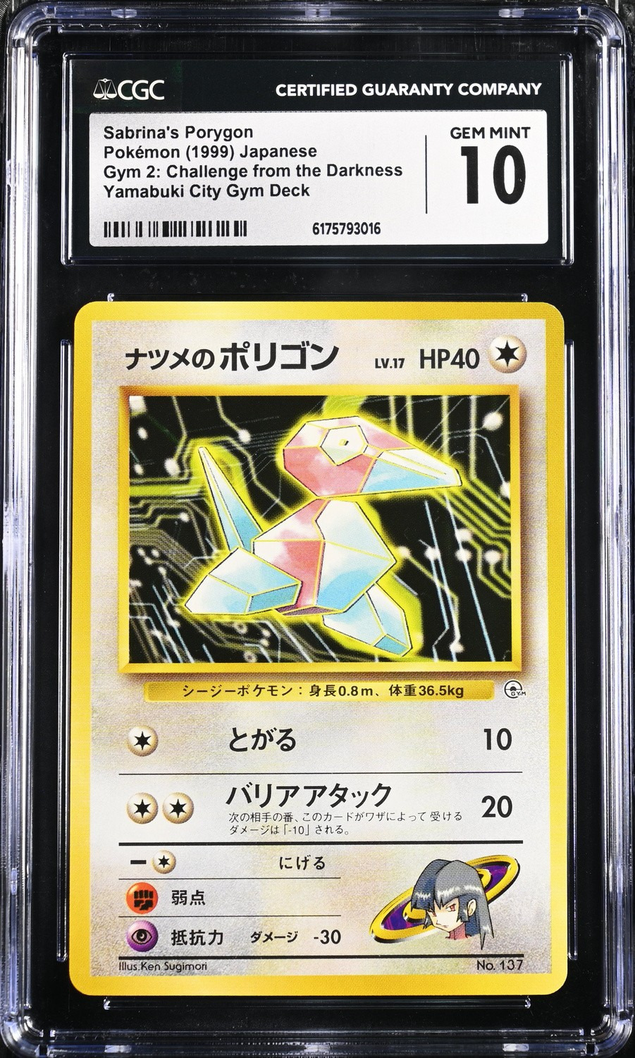 Sabrina's Porygon
