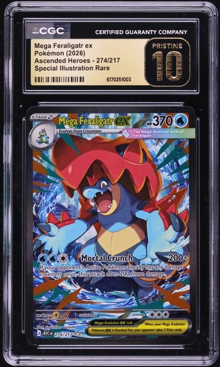 MEGA FERALIGATR ex