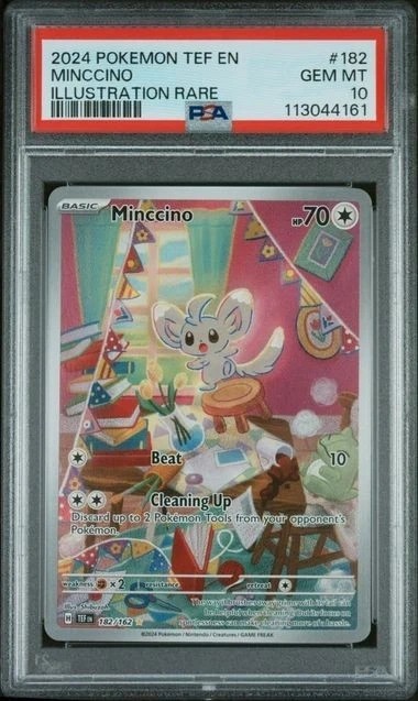 Minccino