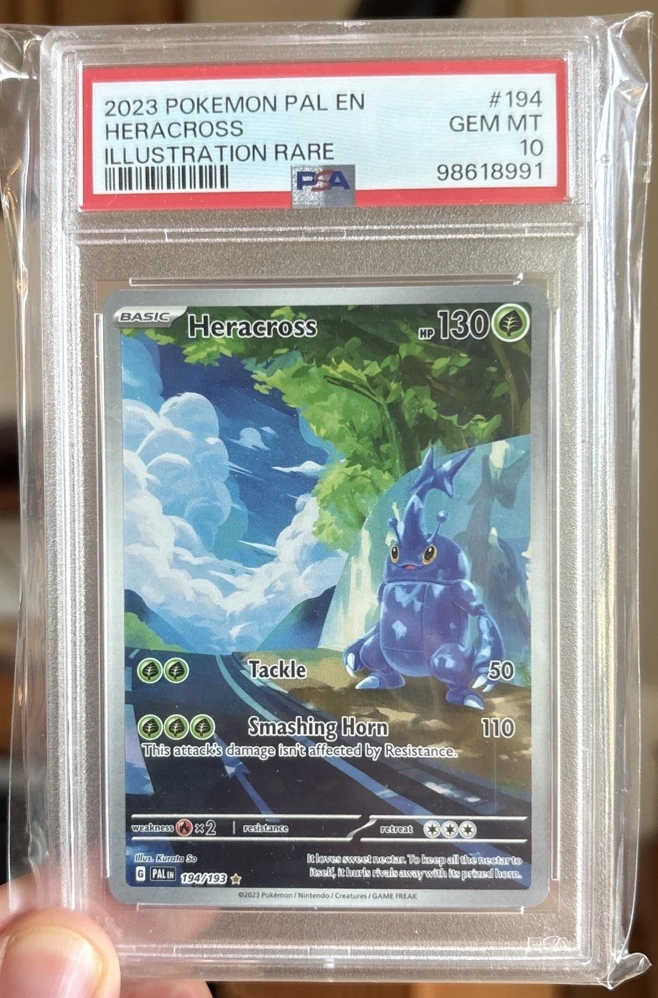 Heracross