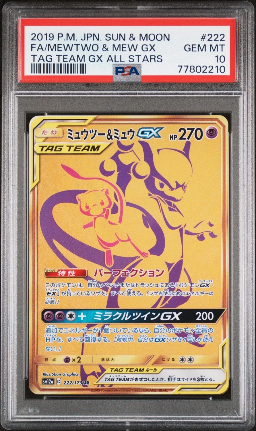 Mewtwo & Mew GX
