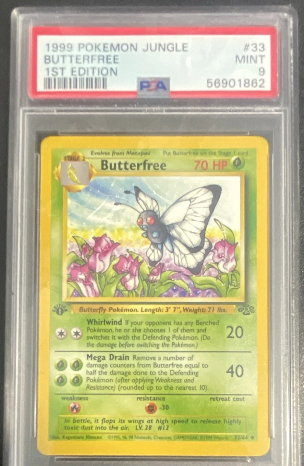Butterfree