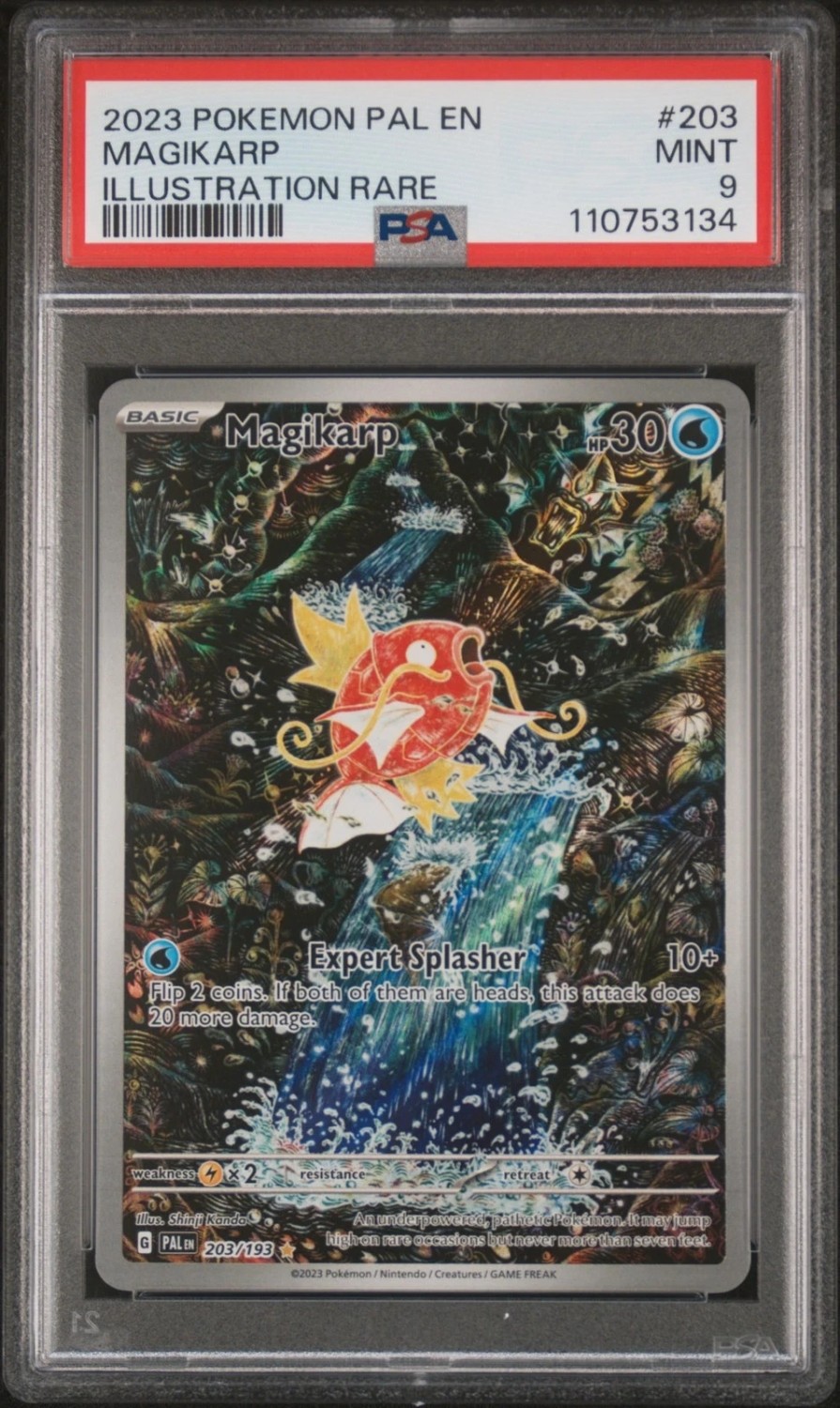 Magikarp
