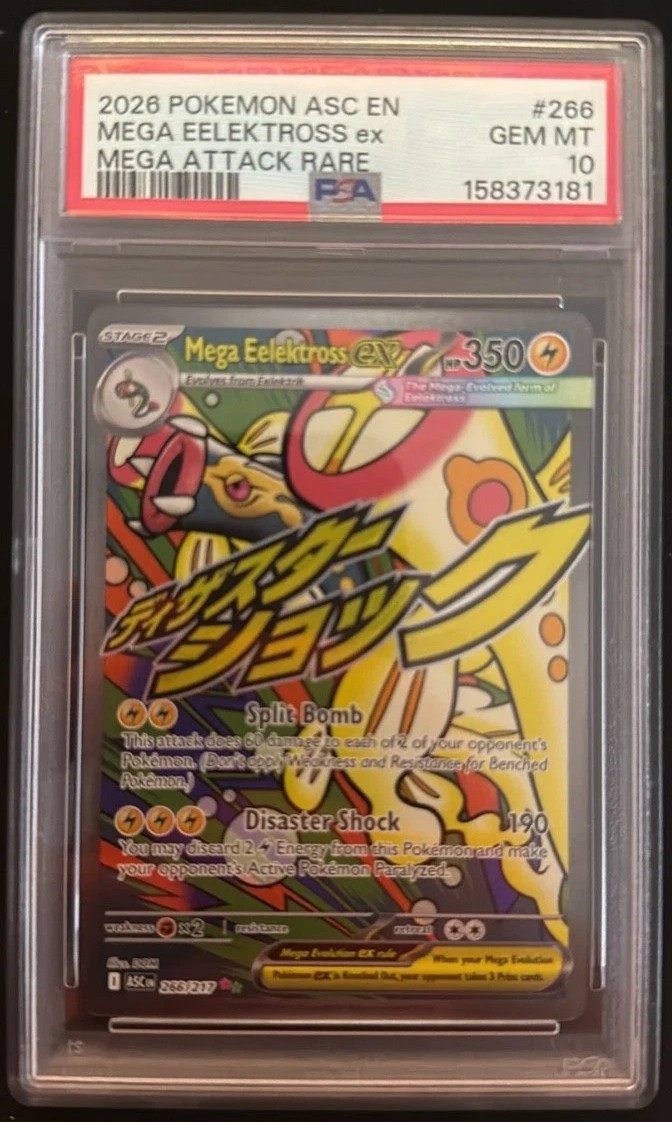 MEGA EELEKTROSS ex