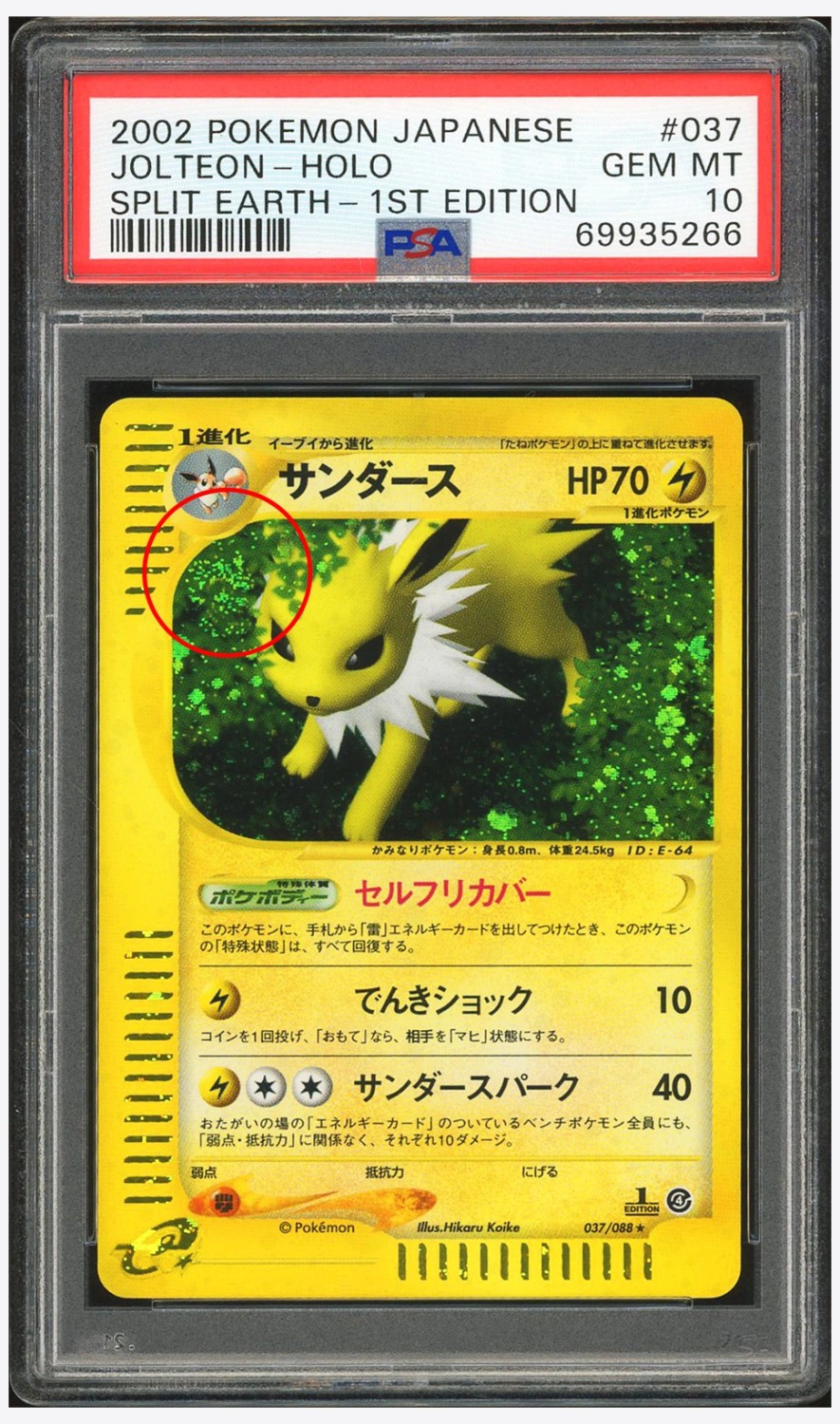 Jolteon