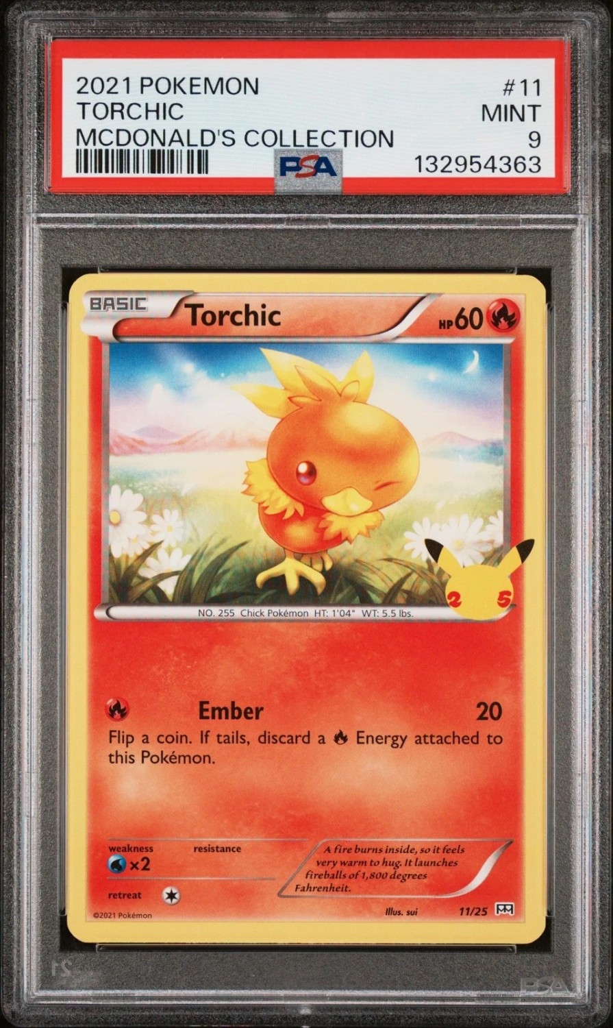 TORCHIC
