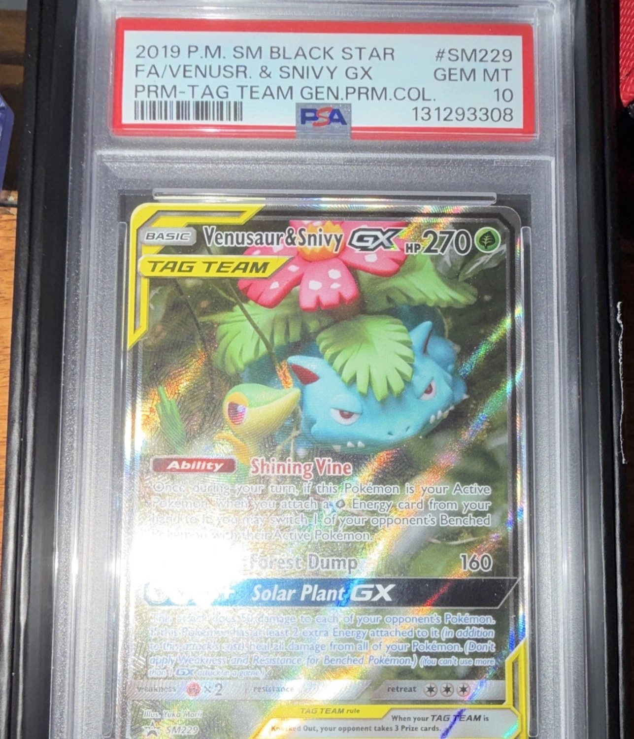 Venusaur & Snivy GX