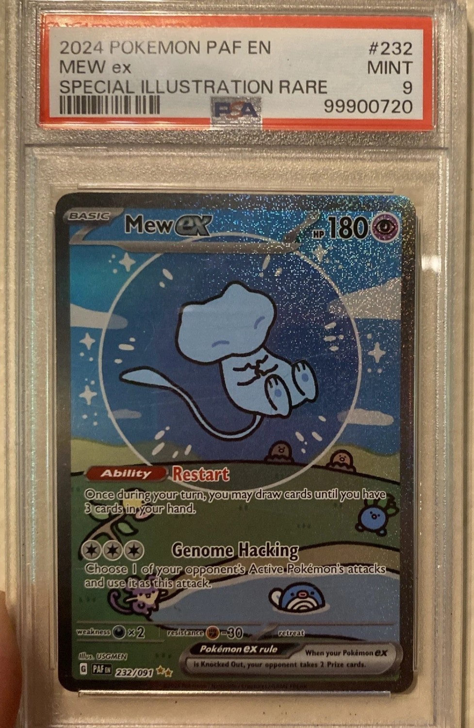 MEW ex