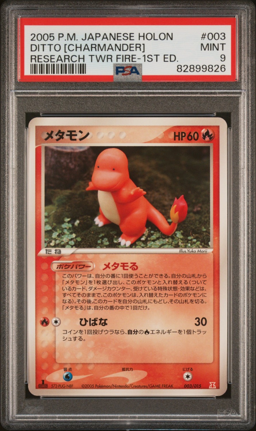 Ditto [Charmander]