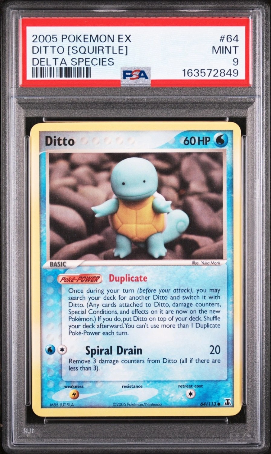 Ditto [Squirtle]