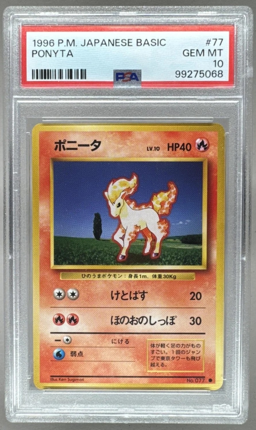 Ponyta