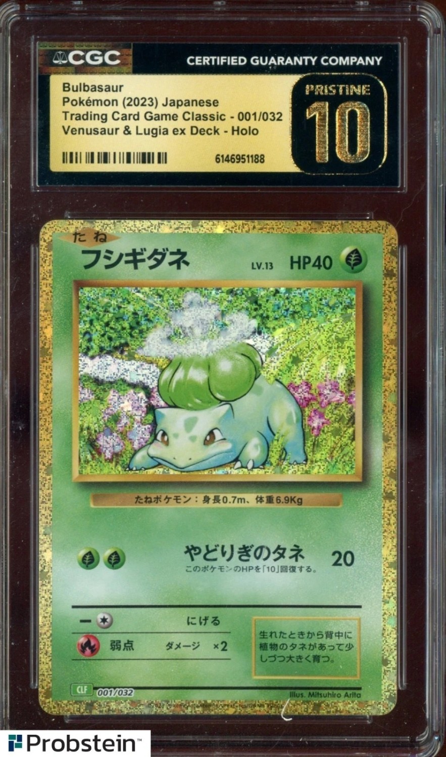 Squirtle