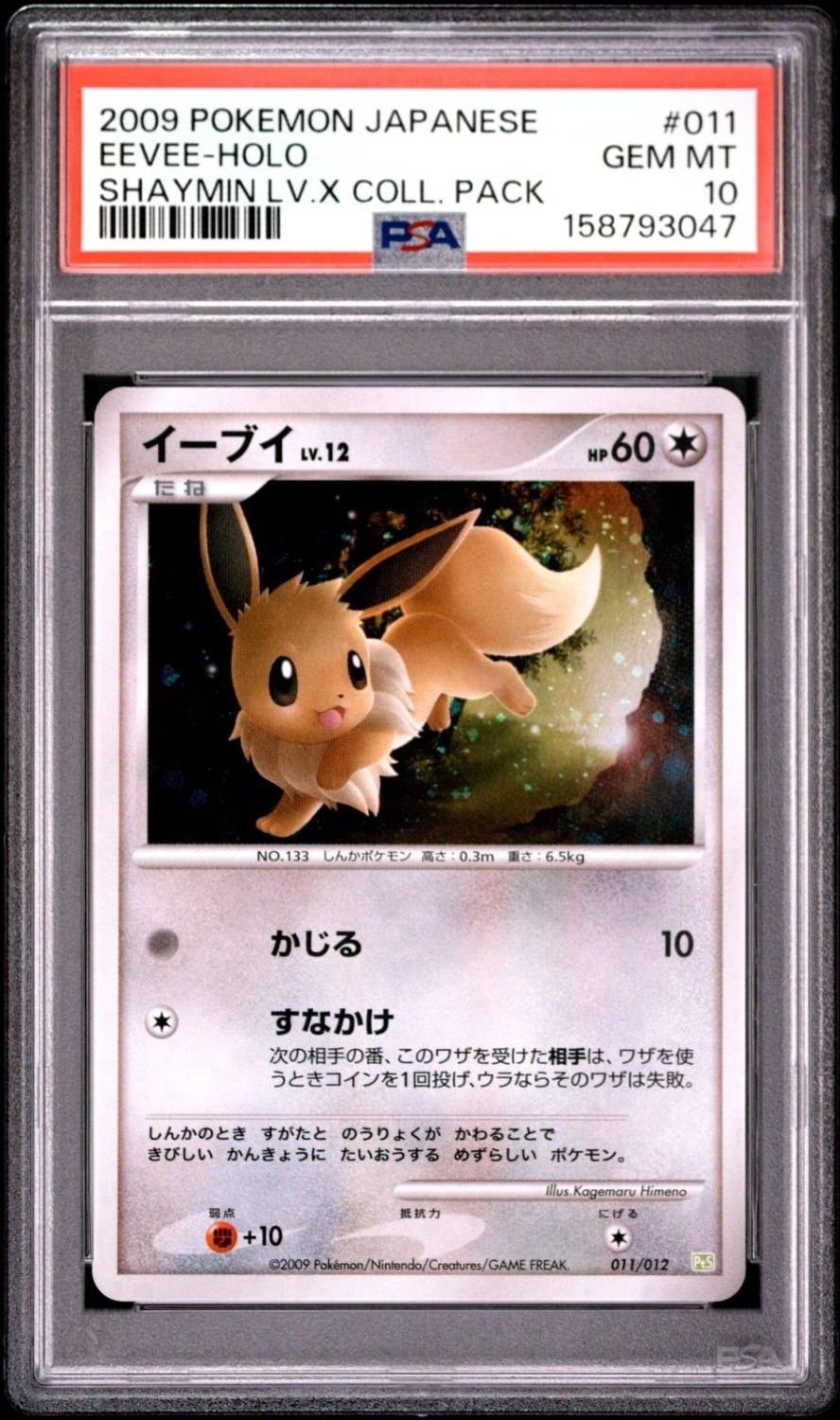 Eevee