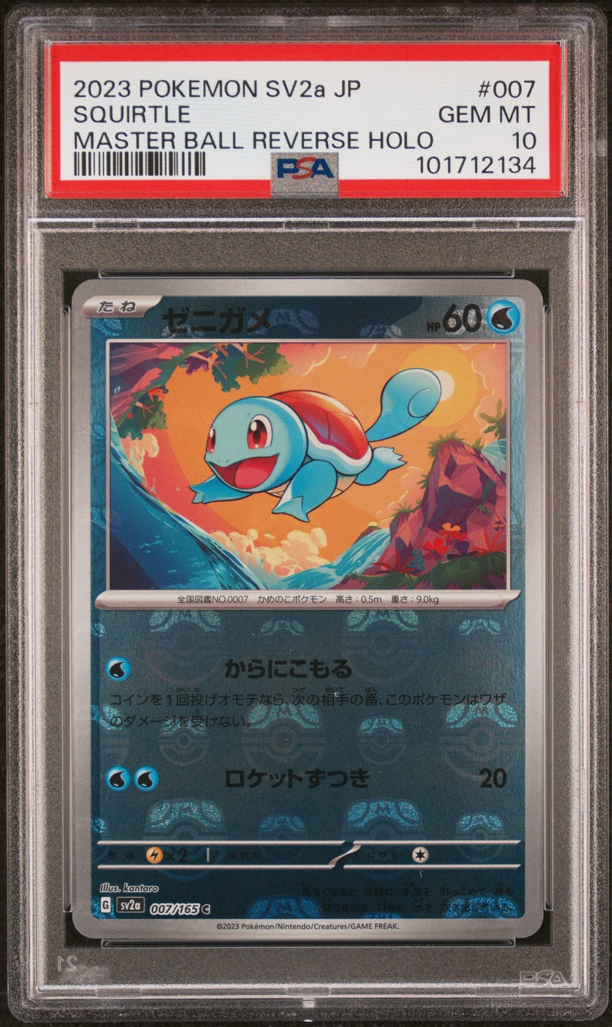 Squirtle
