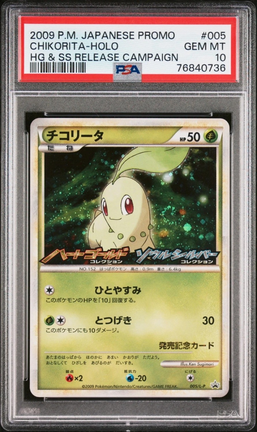 Chikorita