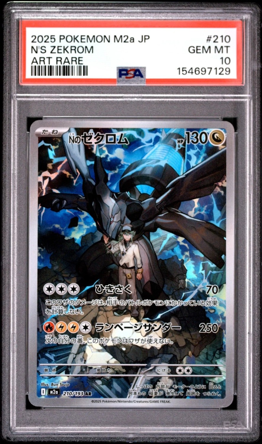 N's Zekrom