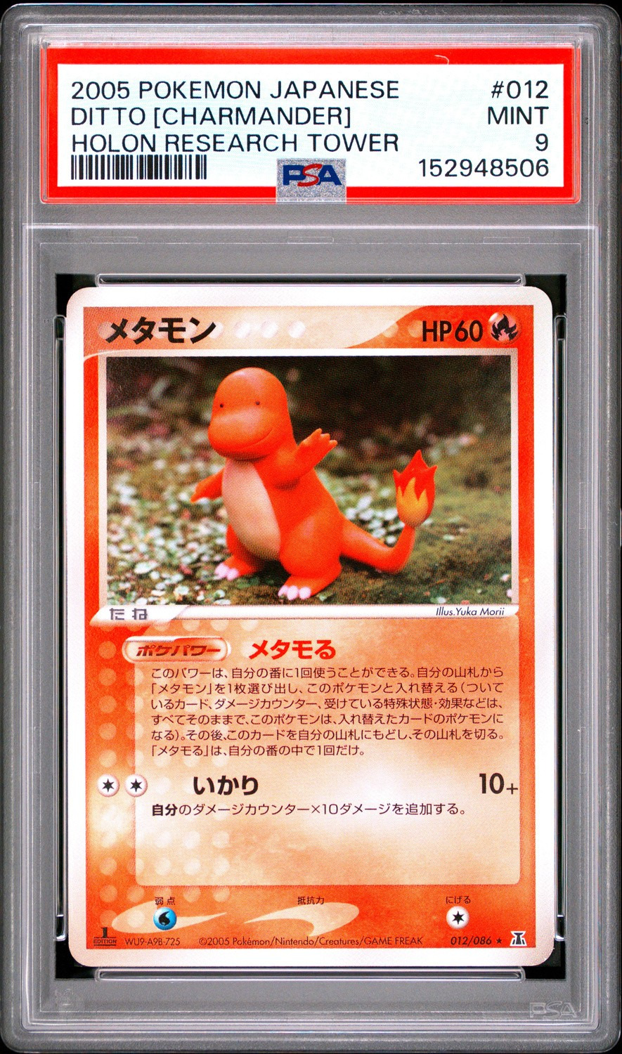 DITTO [CHARMANDER]