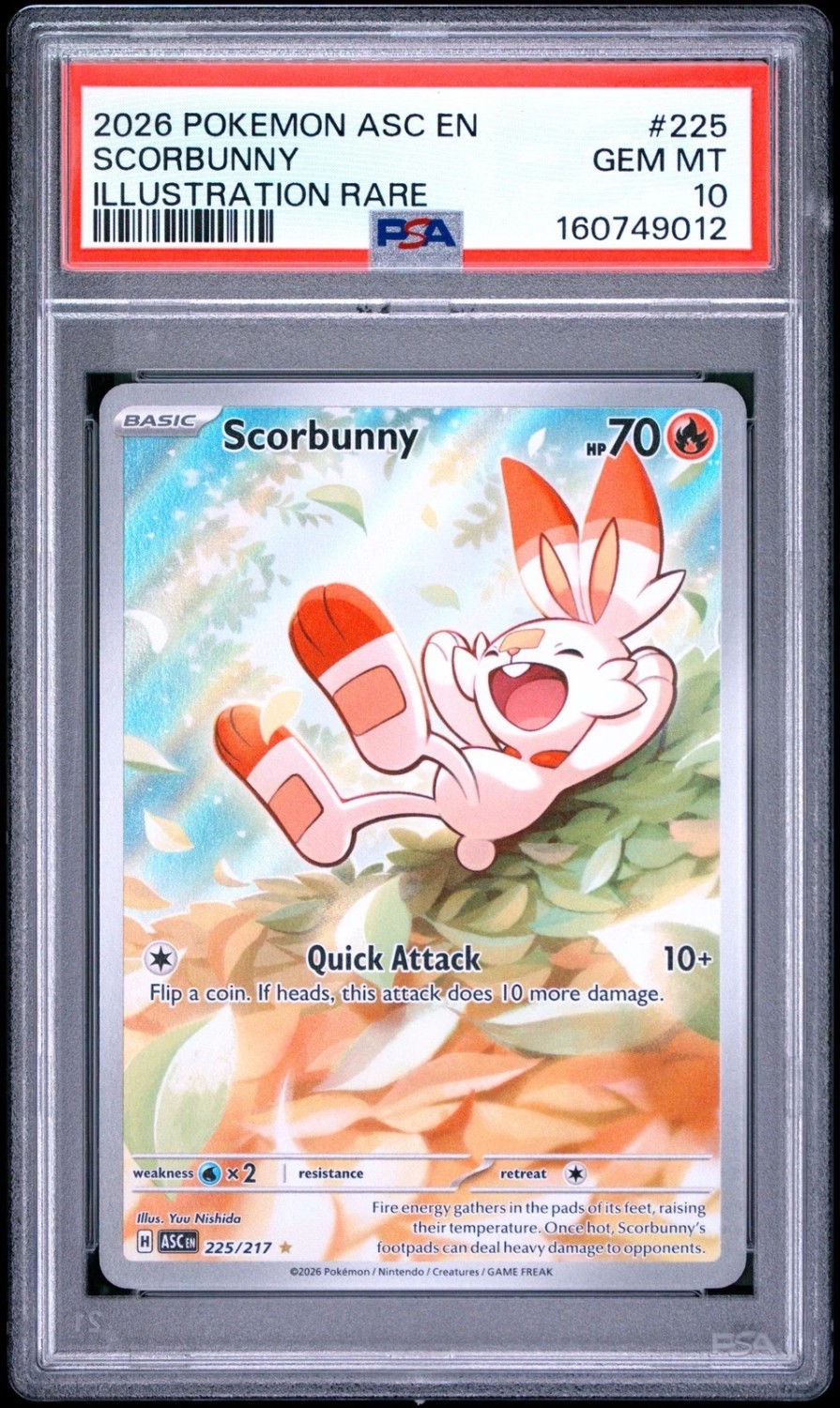 Scorbunny