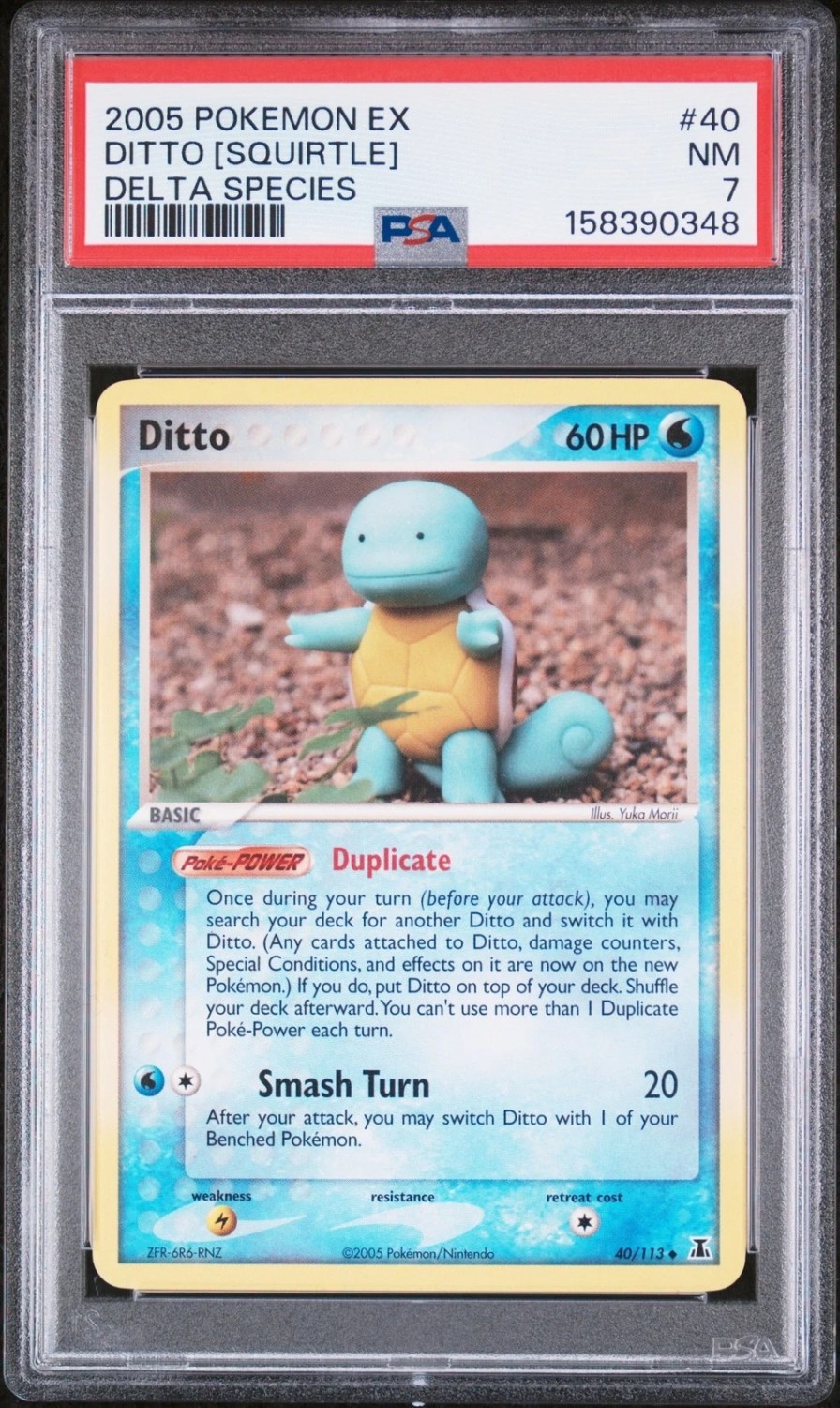 Ditto [Squirtle]