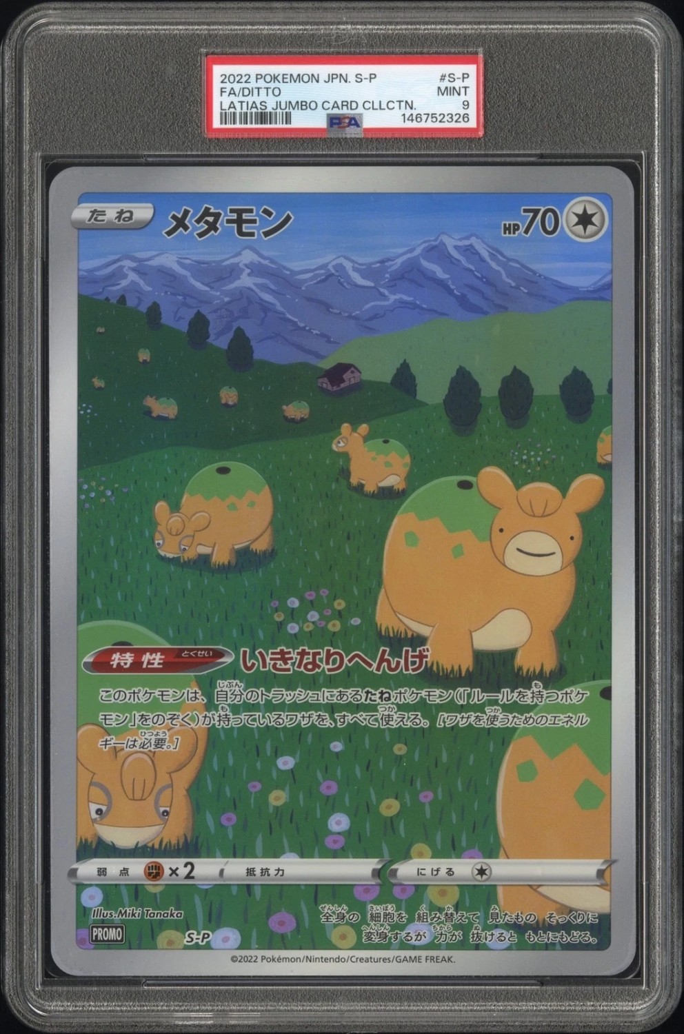 Ditto