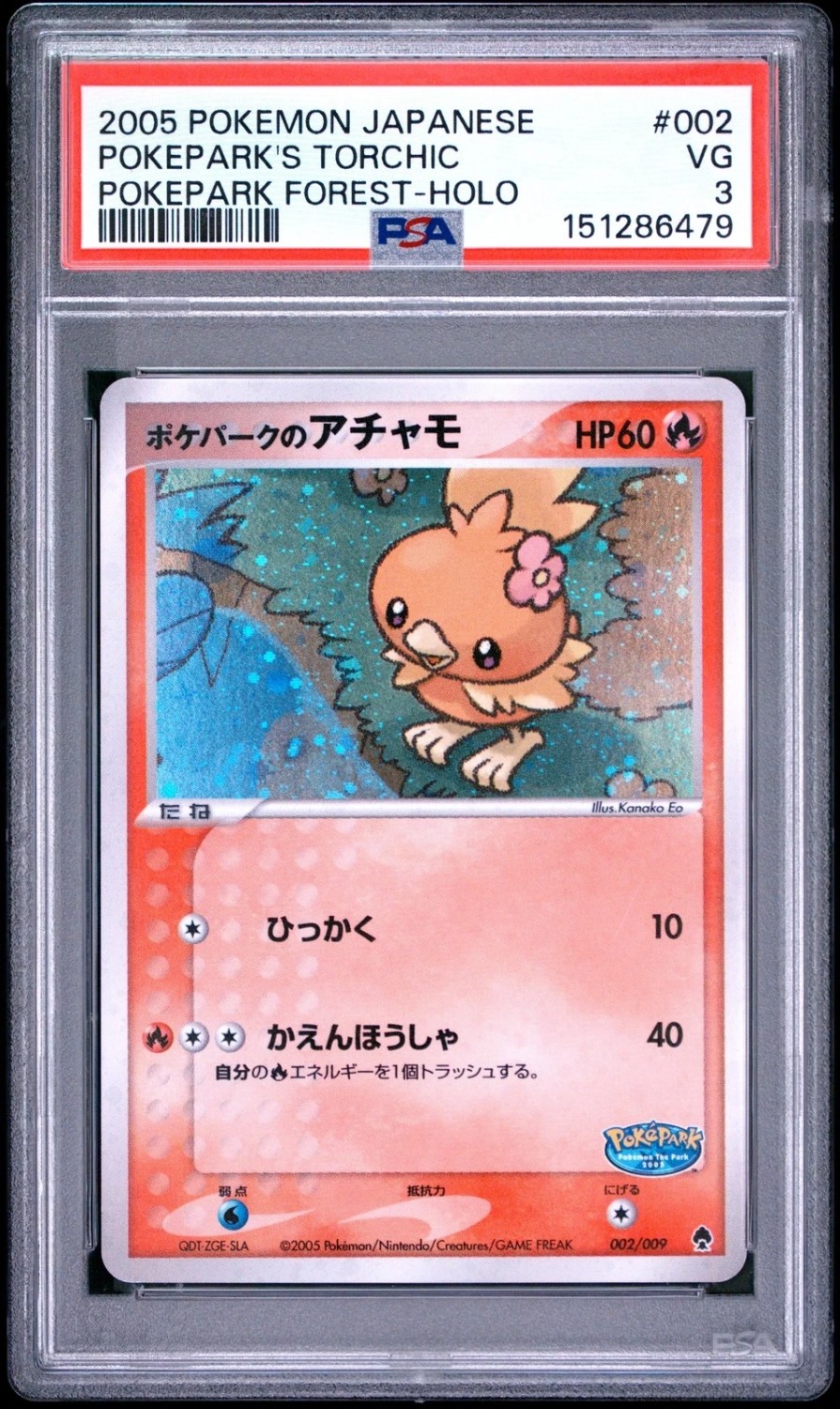 PokePark's Torchic