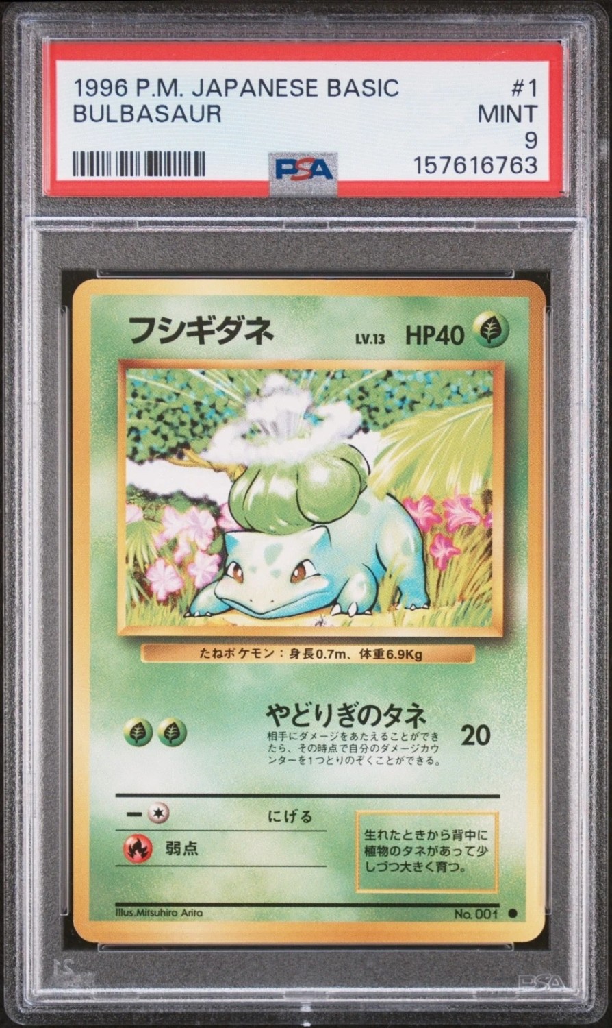 Bulbasaur