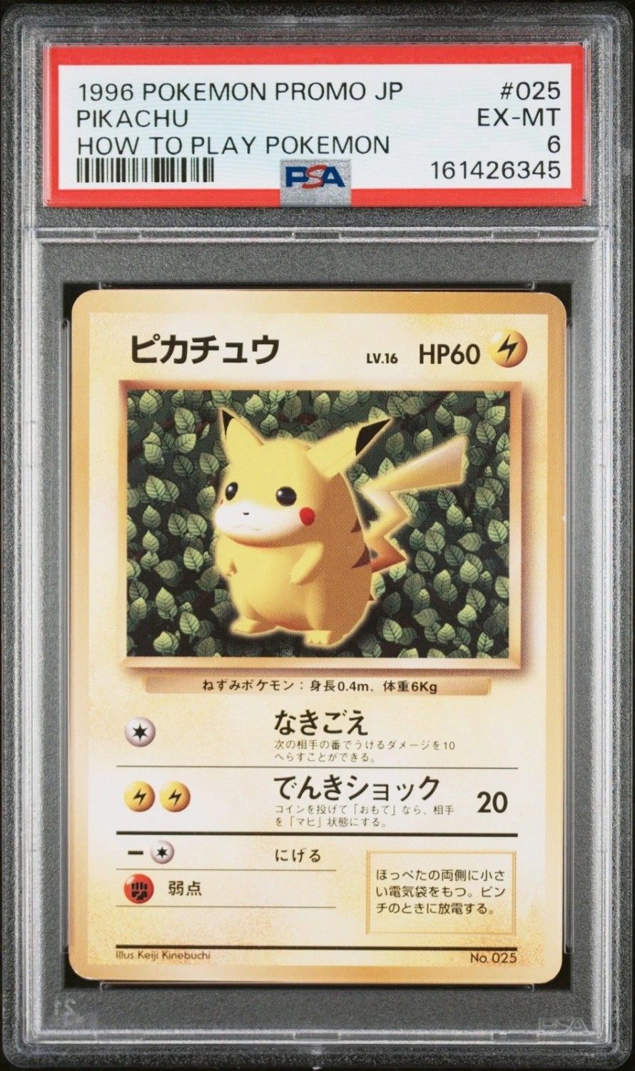 Non-Holo · Non-Glossy · Easily How Play To Understand