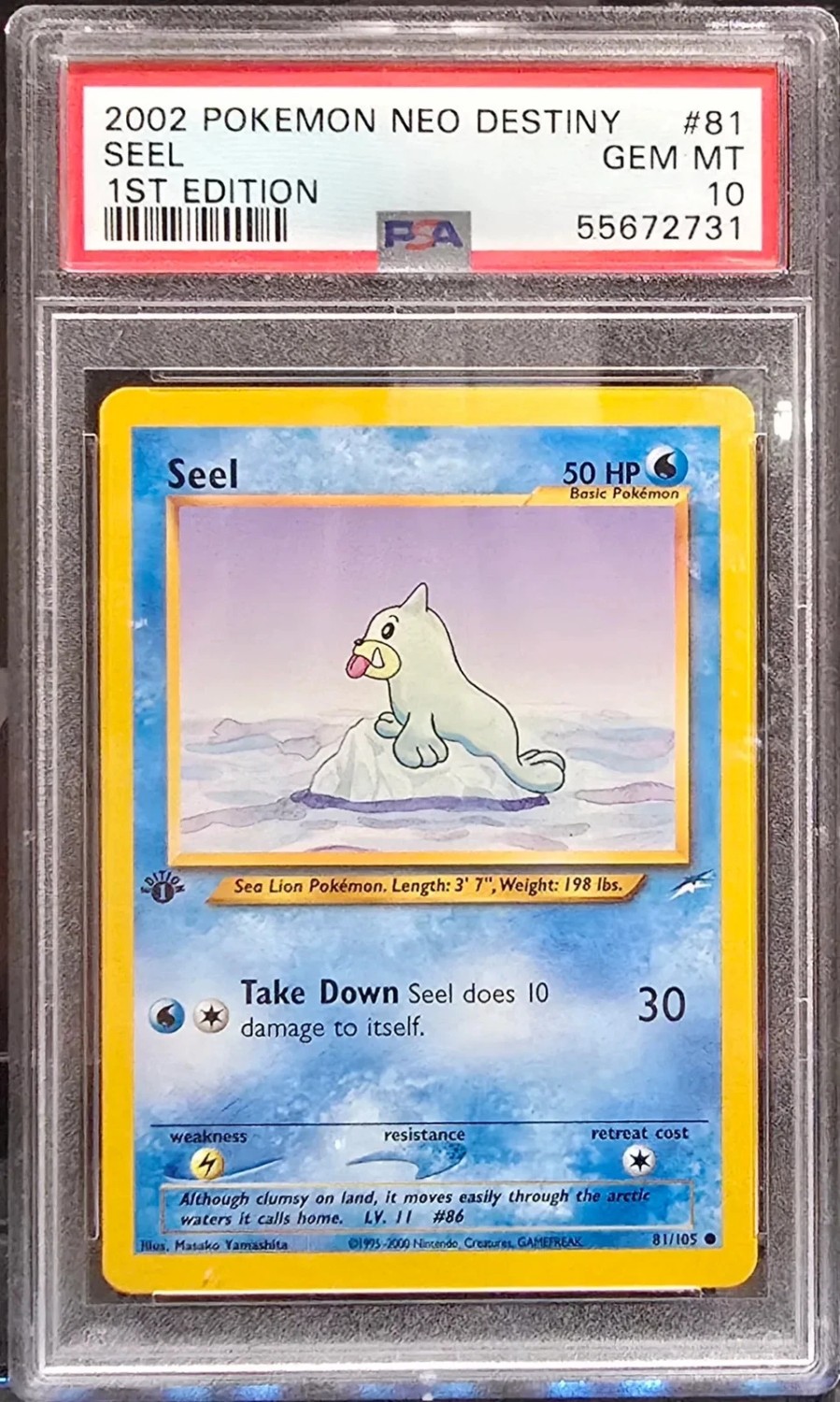 Seel