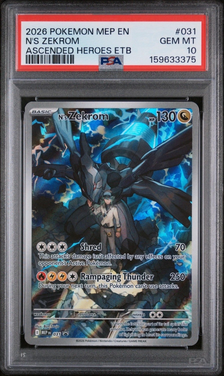 N'S ZEKROM
