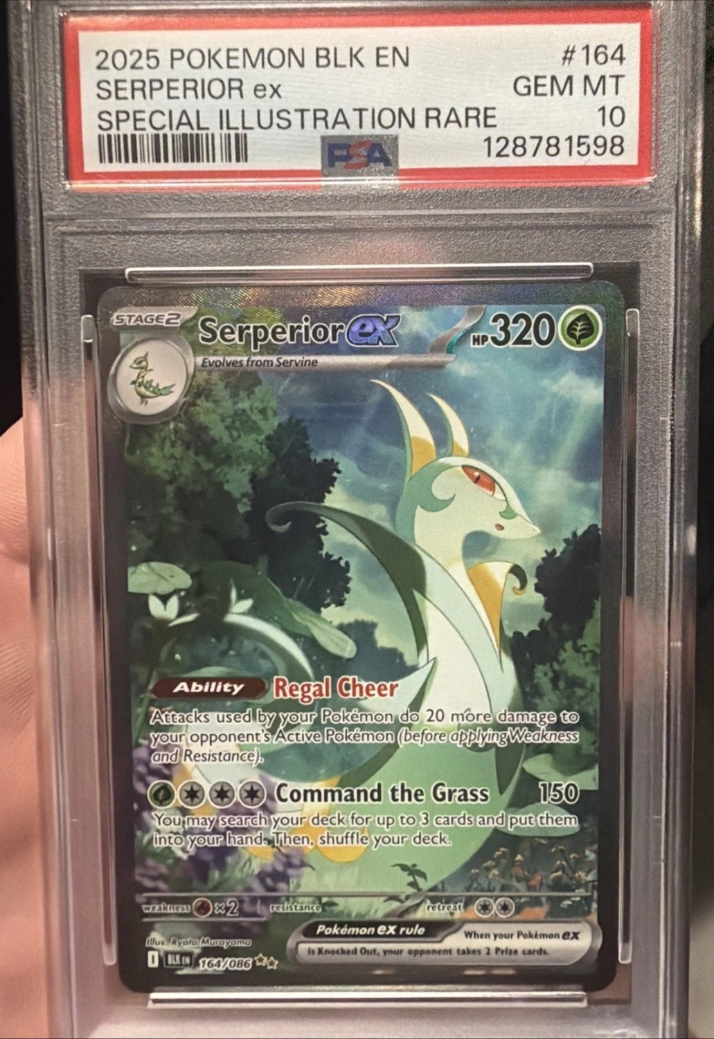 SERPERIOR ex