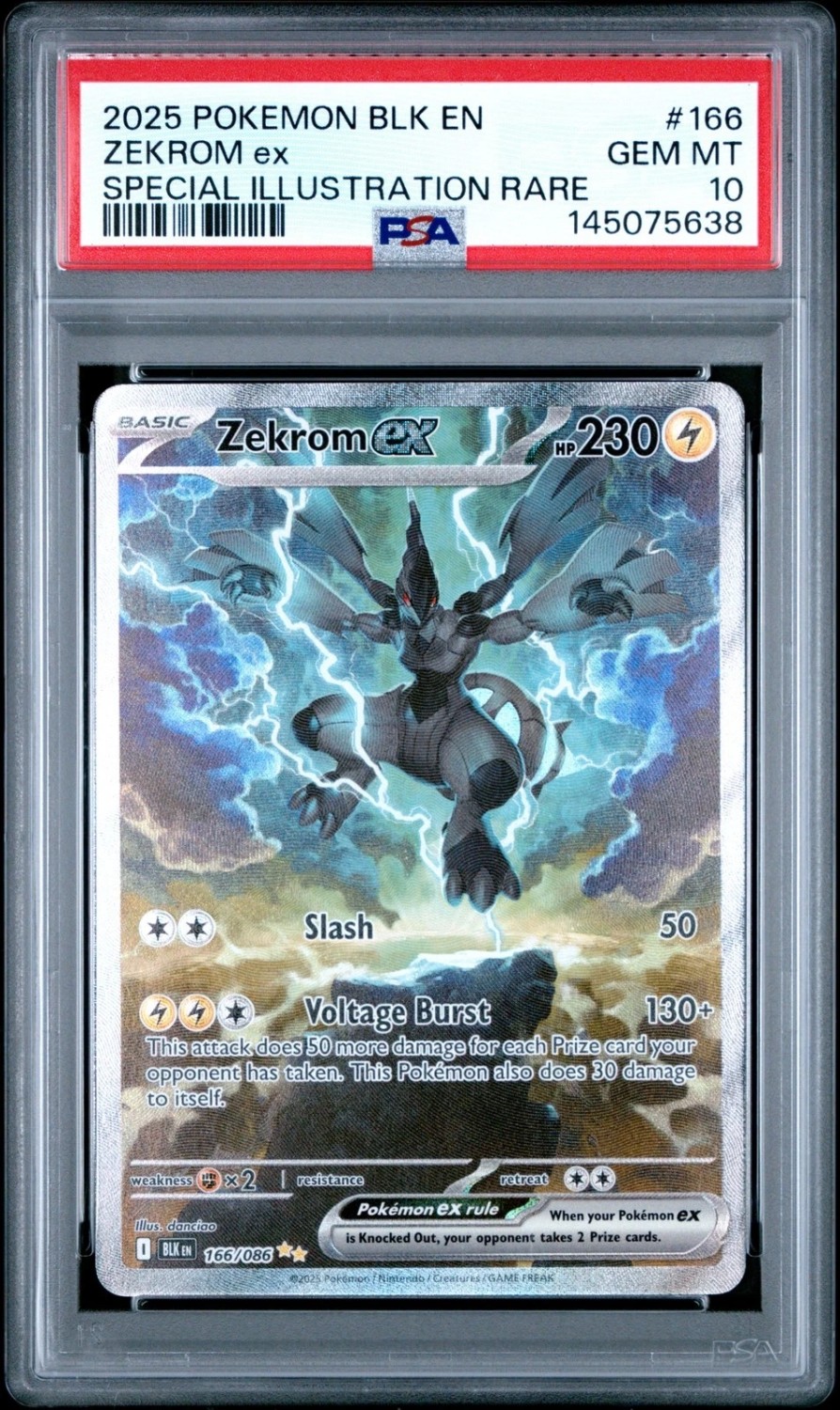 ZEKROM ex