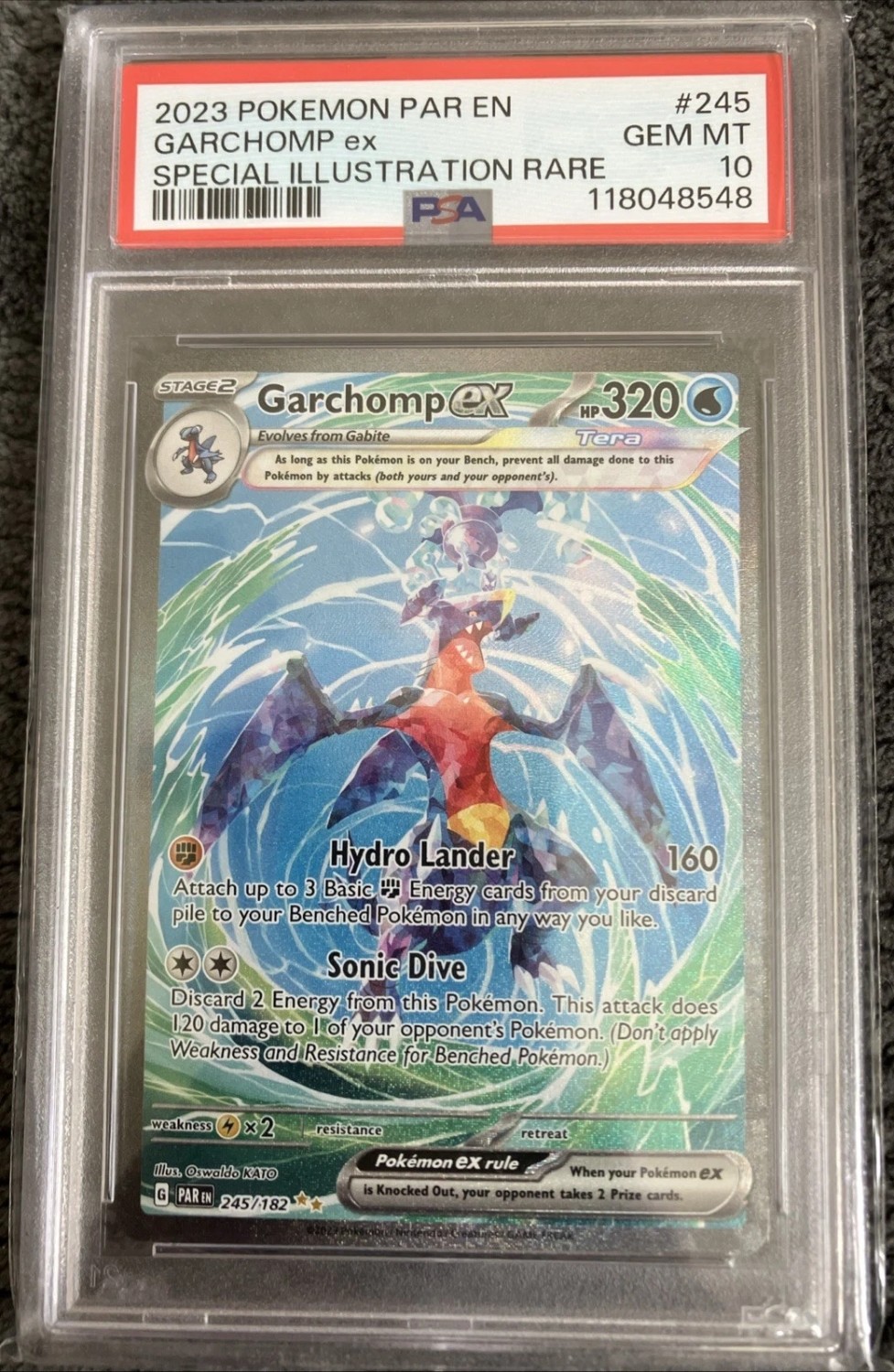 GARCHOMP ex