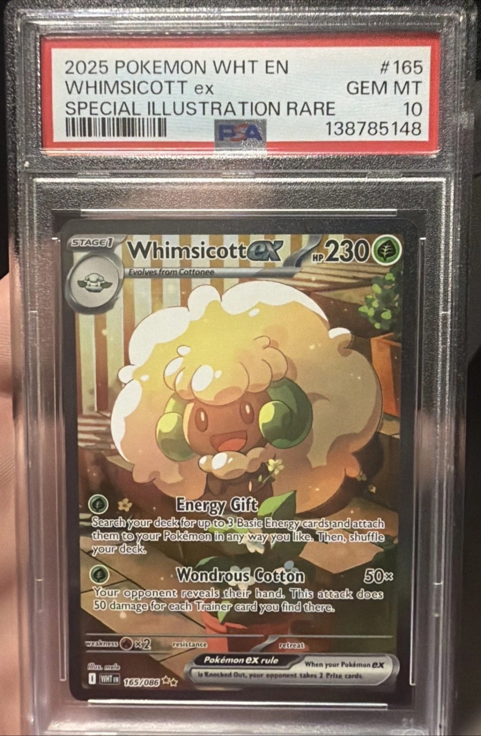 WHIMSICOTT ex