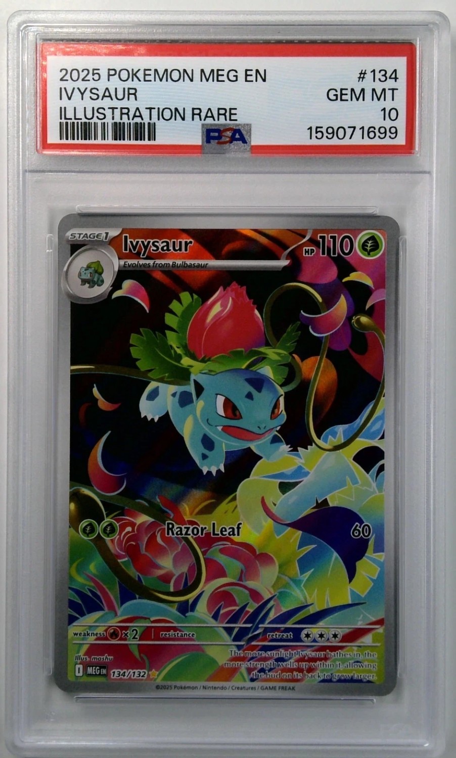 IVYSaur