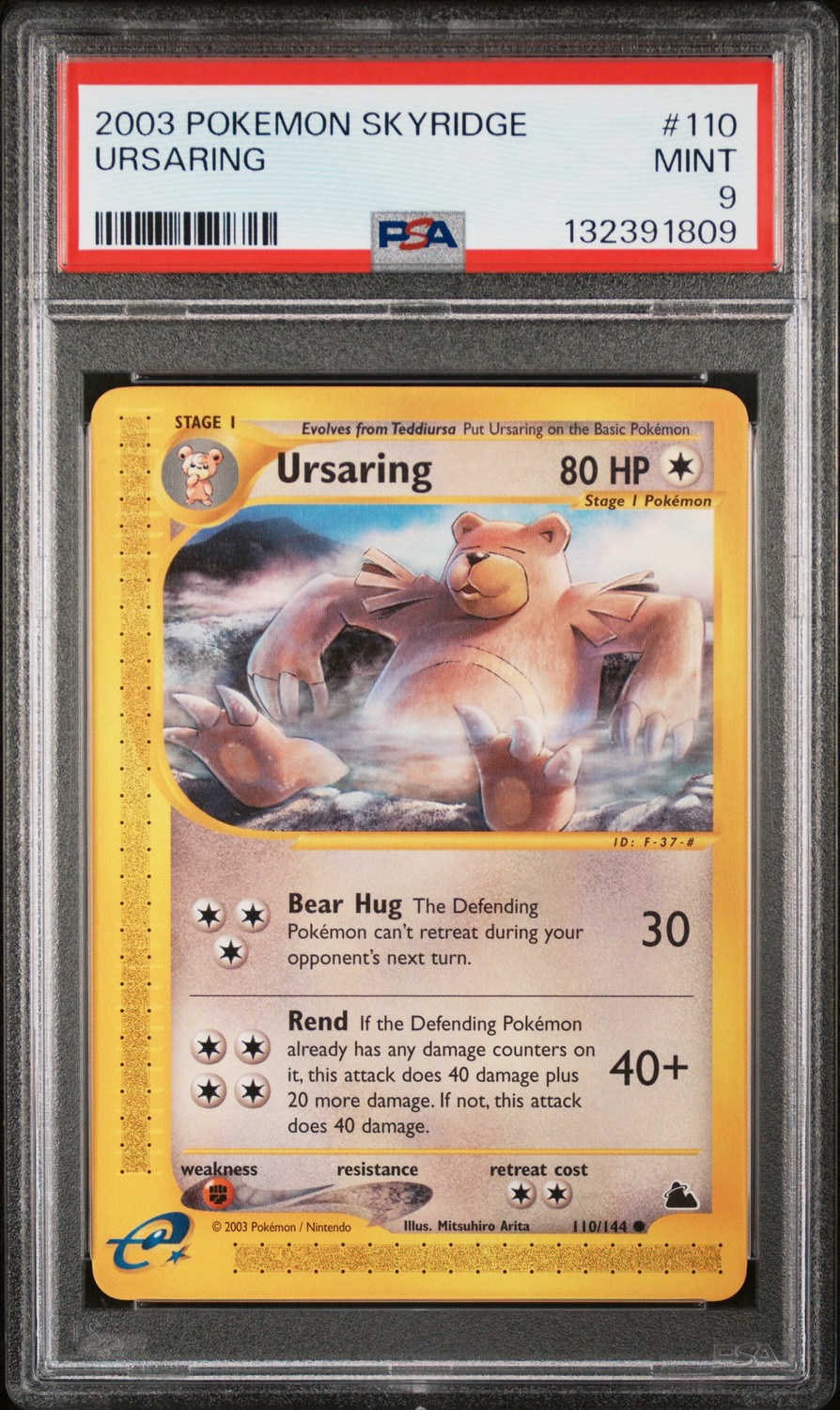 Ursaring