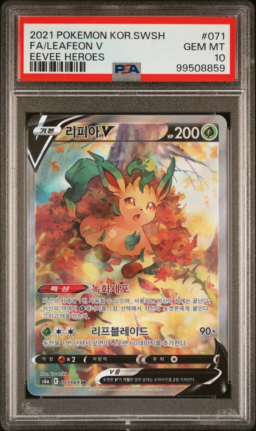 Leafeon V