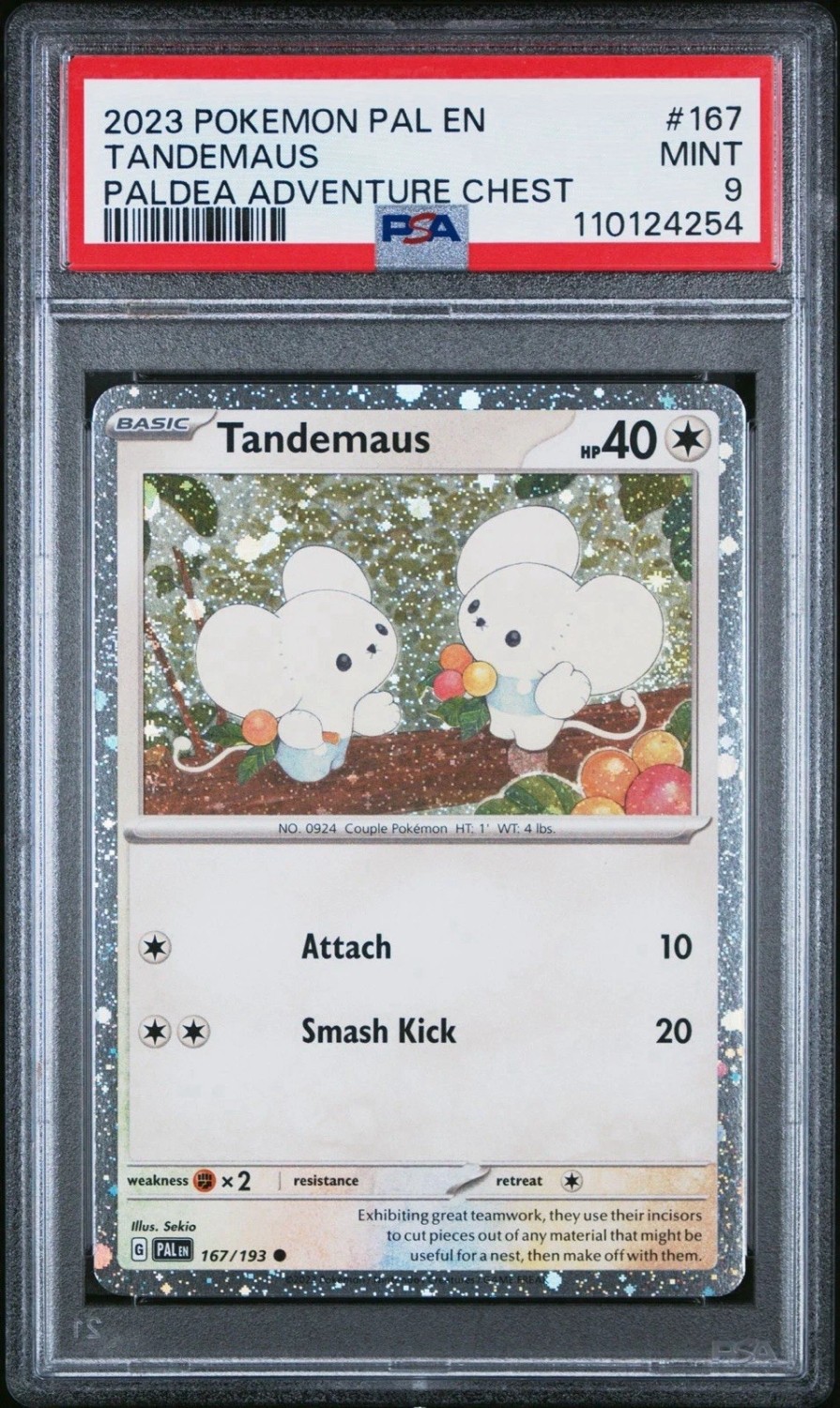 TANDEMAUS