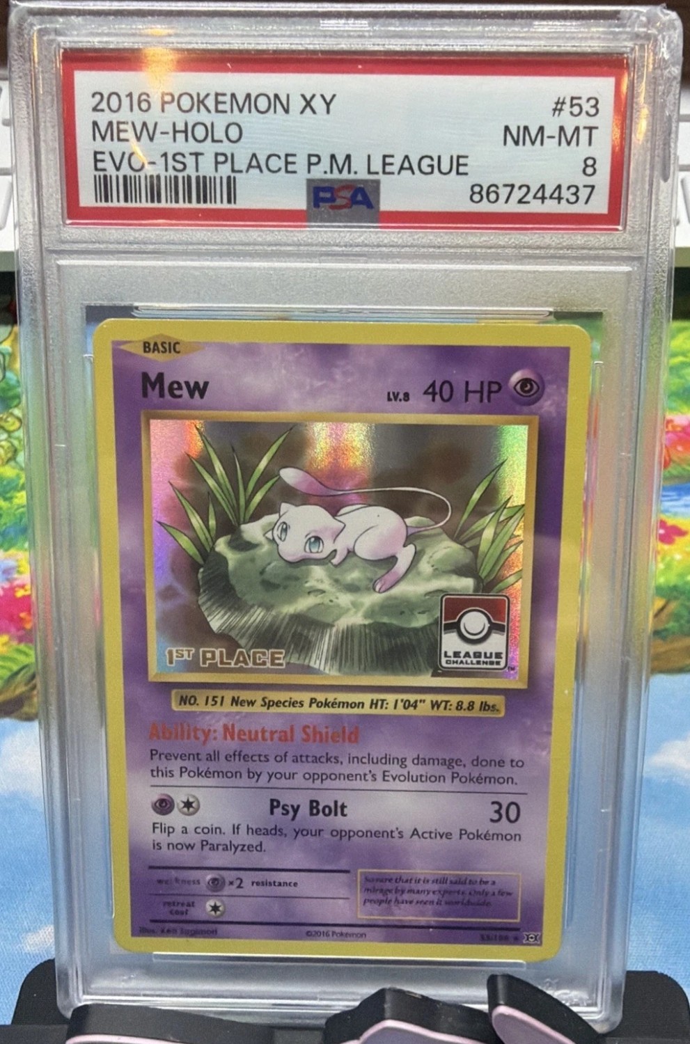 Holo · 1St League Place