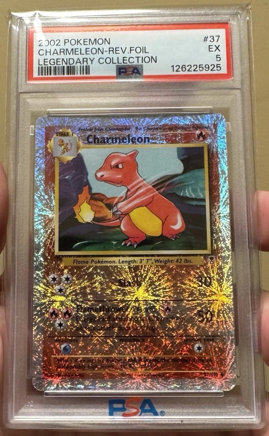 Charmeleon