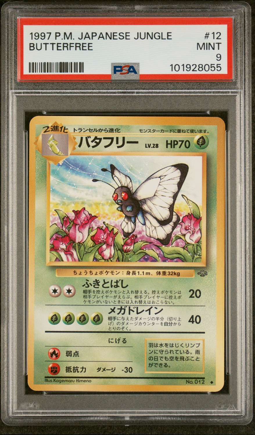 Butterfree