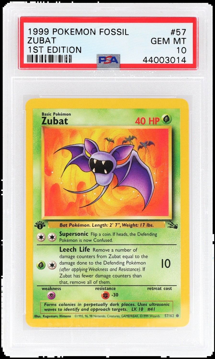 Zubat