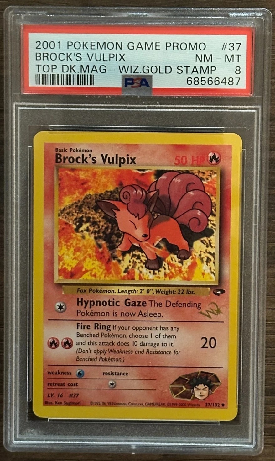 Brock's Vulpix